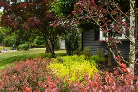 About us landscaping