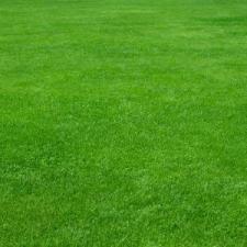 Top 5 Reasons To Schedule Professional Lawn Care In Mahwah  thumbnail