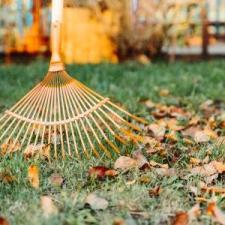 How Seasonal Clean Up Positively Impacts Your Yard  thumbnail