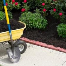 Understanding The Different Types Of Mulch thumbnail