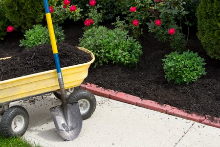 Understanding the different types of mulch