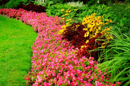 Franklin lakes landscaping