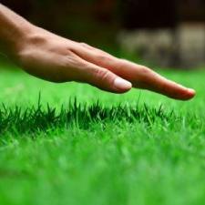 Lawn Fertilizing thumbnail